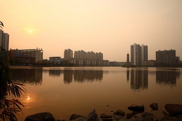 1547432881204945.jpg 1.jpg