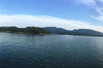 1547433542118666.jpg 1.jpg