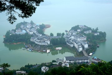 1547434199320776.jpg 1.jpg