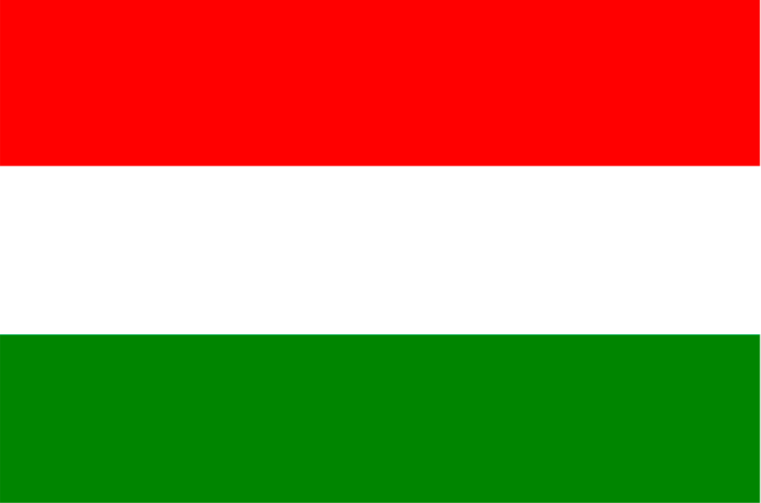 1693960236774384.png 匈牙利語翻譯.png