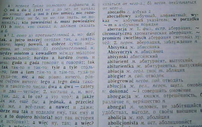 1733876244235280.png 波蘭語(yǔ)翻譯.png