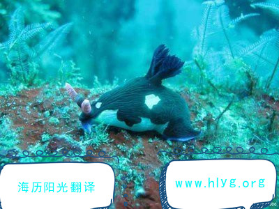 1744761387755616.jpg 導游詞.jpg